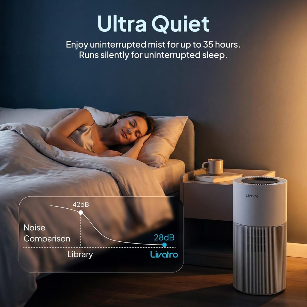 The Necessity of an Air Humidifier: Harm of Dry Environments & Improved Comfort